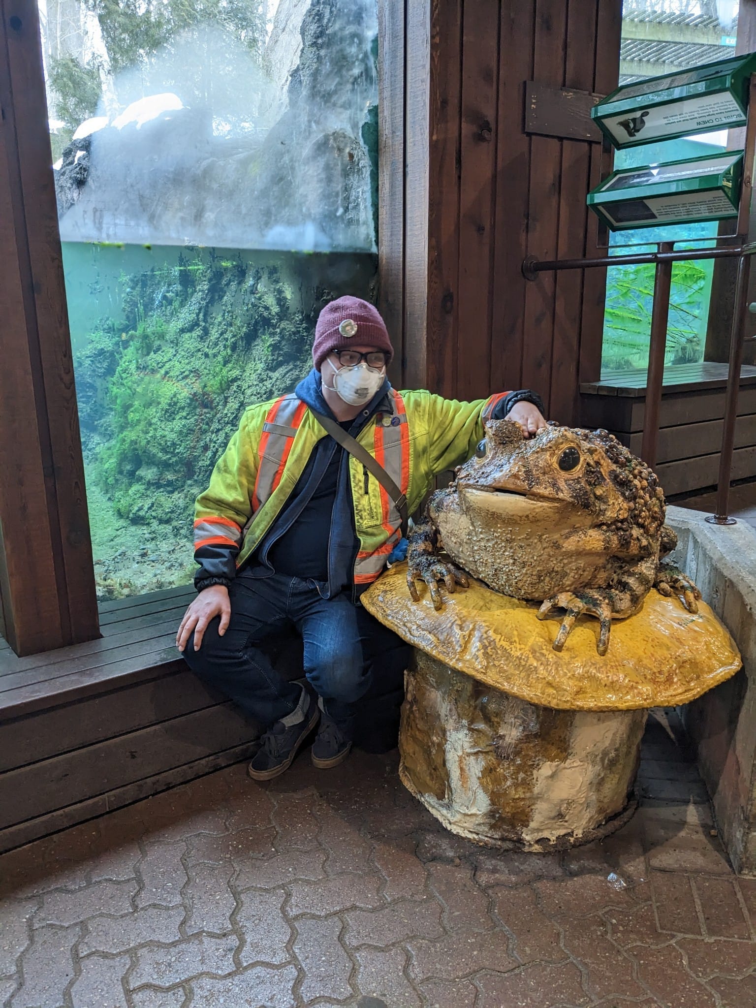 A man in a toque, N95 mask and high visibility coat sits next to a terrarium enclosure window looking at a statue of a frog on a mushroom that is 1 meter across